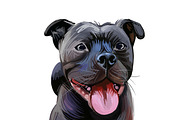 100 Dog Breeds Popular in UK, an Illustration by Dneprstock (Thumbnail 2 of 4)