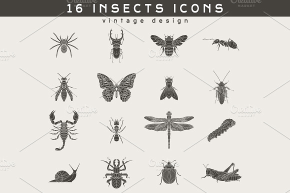16 Insect Logos