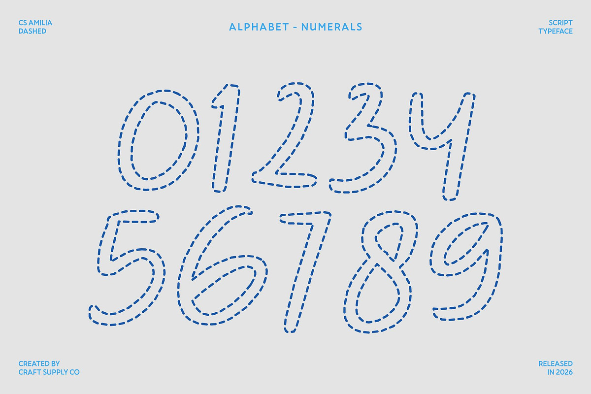 CS Amilia Dashed, a Script Font by Craft Supply Co. (Photo 6 of 8)