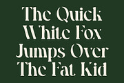 CS Chaya Drawn, a Serif Font by Craft Supply Co. (Thumbnail 3 of 8)