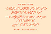 The Hildesheim Monoline Script, a Script Font by Letterhend Studio (Thumbnail 6 of 9)
