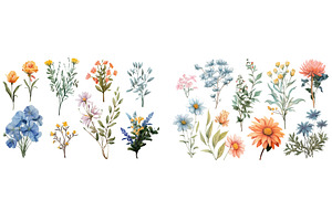 Elegant Collection of Hand-Painted, an Illustration by ZinetroN