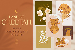 Land Of Cheetah graphic collection