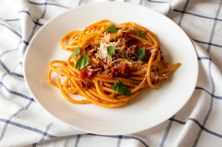 Homemade Bucatini all Amatriciana Pasta in a white plate on clot, a Food & Drink Photo by LiudmylaChuhunova