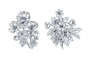 Vintage Hand Drawn Flowers Set