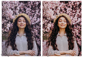 MOODY SPRING LIGHTROOM PRESETS