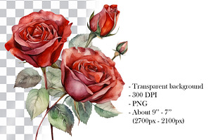 Red Roses Watercolor Clipart. AI