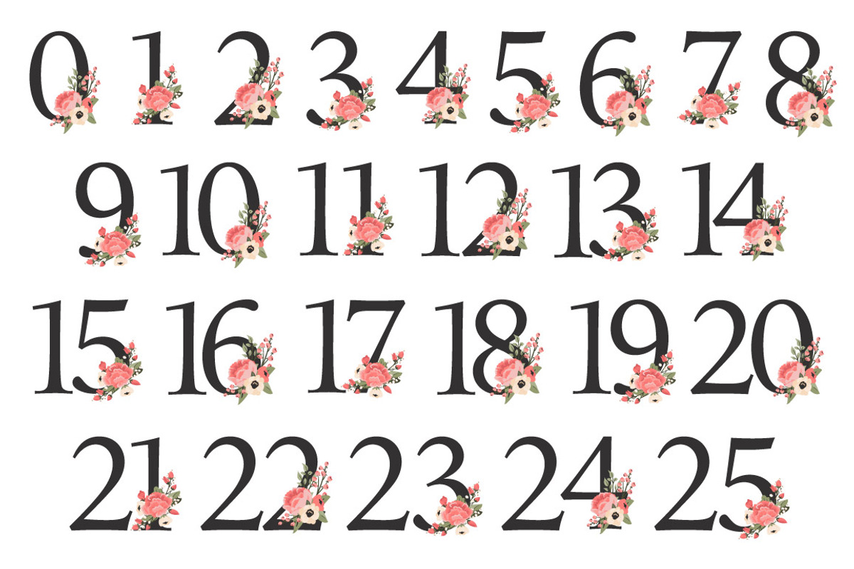 Coral Wedding Flower Numbers, an Illustration by Amanda Ilkov (Photo 5 of 5)