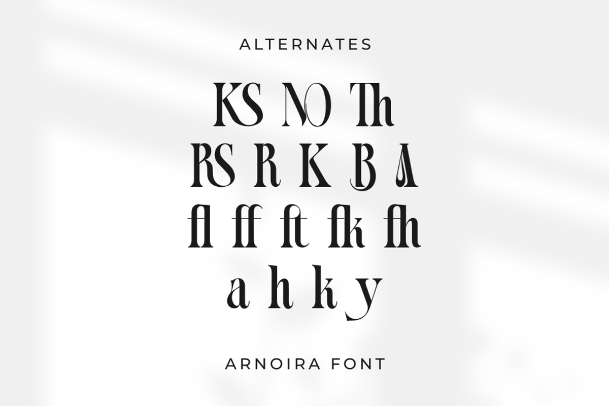 Arnoira, a Serif Font by Rahagita Studio (Photo 11 of 11)