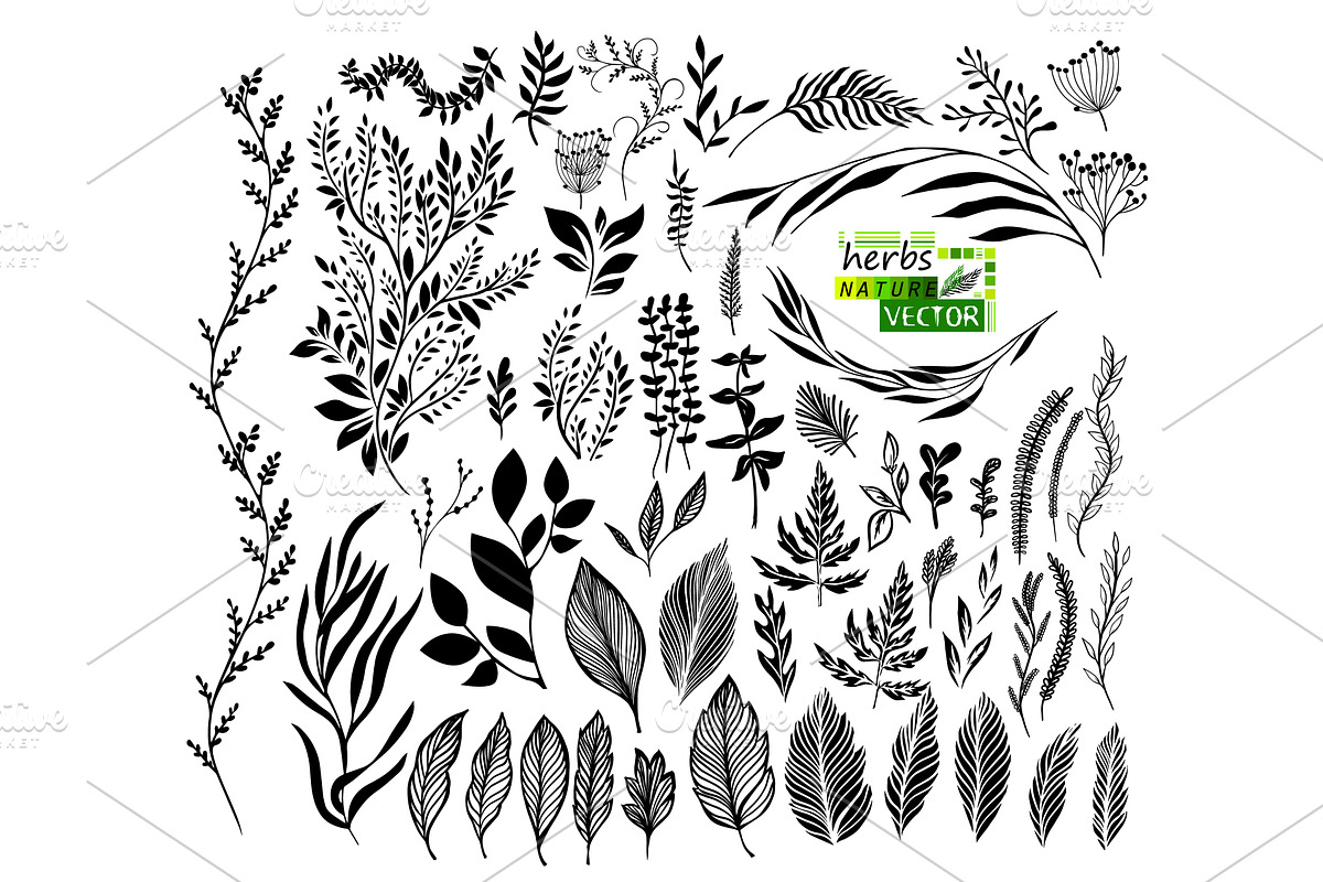 Set of graphic black leaves and, an Object Illustration by Nenahliadava Design
