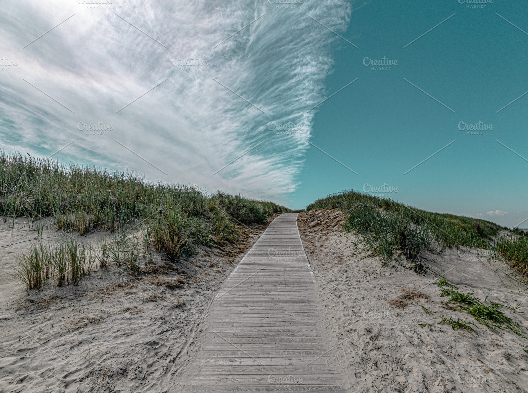 Wooden path with dune meadows & sky, a Nature Photo by Nex Apher