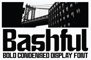 Bashful - Sans Condensed Font, a Sans Serif Font by tebaltipislab