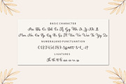 juslia sophia - a unique script font, a Script Font by Bosstype Studio (Thumbnail 5 of 8)