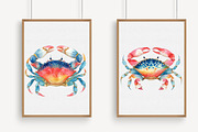Watercolor Crab Clipart, an Illustration by Libby Wishes (Thumbnail 3 of 7)