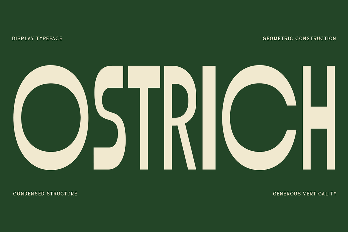 Ostrich - Condensed Display Font, a Sans Serif Font by roomspace creative lab (Photo 1 of 9)