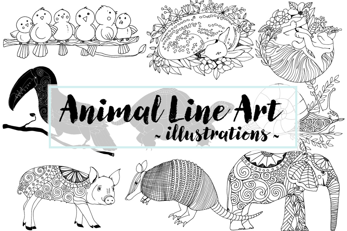 Vector Graphics Bundle, an Animal Illustration by Carrie Stephens Art (Photo 25 of 43)
