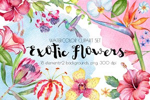 Exotic Flowers Watercolor Clipart