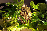 Fantasy Plant House - Laser Cut File, an Object Graphic by VectorPainter (Thumbnail 2 of 17)