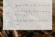 Smoothly, a Script Font by din-studio.com (Thumbnail 9 of 11)