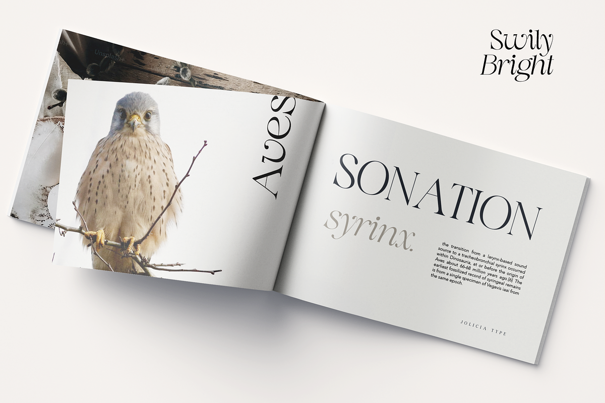 Swily Bright | Classy Font, a Serif Font by Jolicia Type (Photo 11 of 11)
