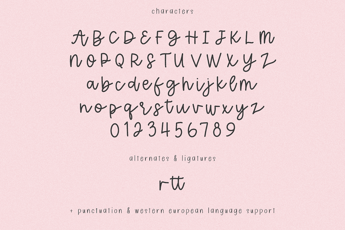 Wildflower Honey Script, a Handwritten Font by Beck McCormick (Photo 10 of 10)