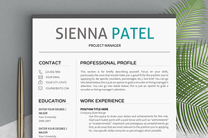 3 Page RESUME Template