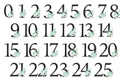 Mint Floral Numbers With Vectors, an Illustration by Amanda Ilkov (Thumbnail 5 of 5)