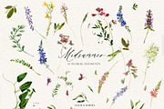 Midsummer - field flowers clipart, a Decorative Illustration by whiteheartdesign (Thumbnail 9 of 16)