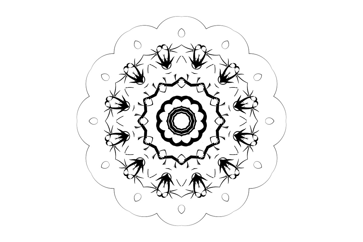 Ornamental Black White Mandala Pack, a Decorative Illustration by NJ Himel (Photo 9 of 103)