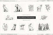 Woodland Drawings, an Animal Illustration by PeDe Designs (Thumbnail 4 of 9)