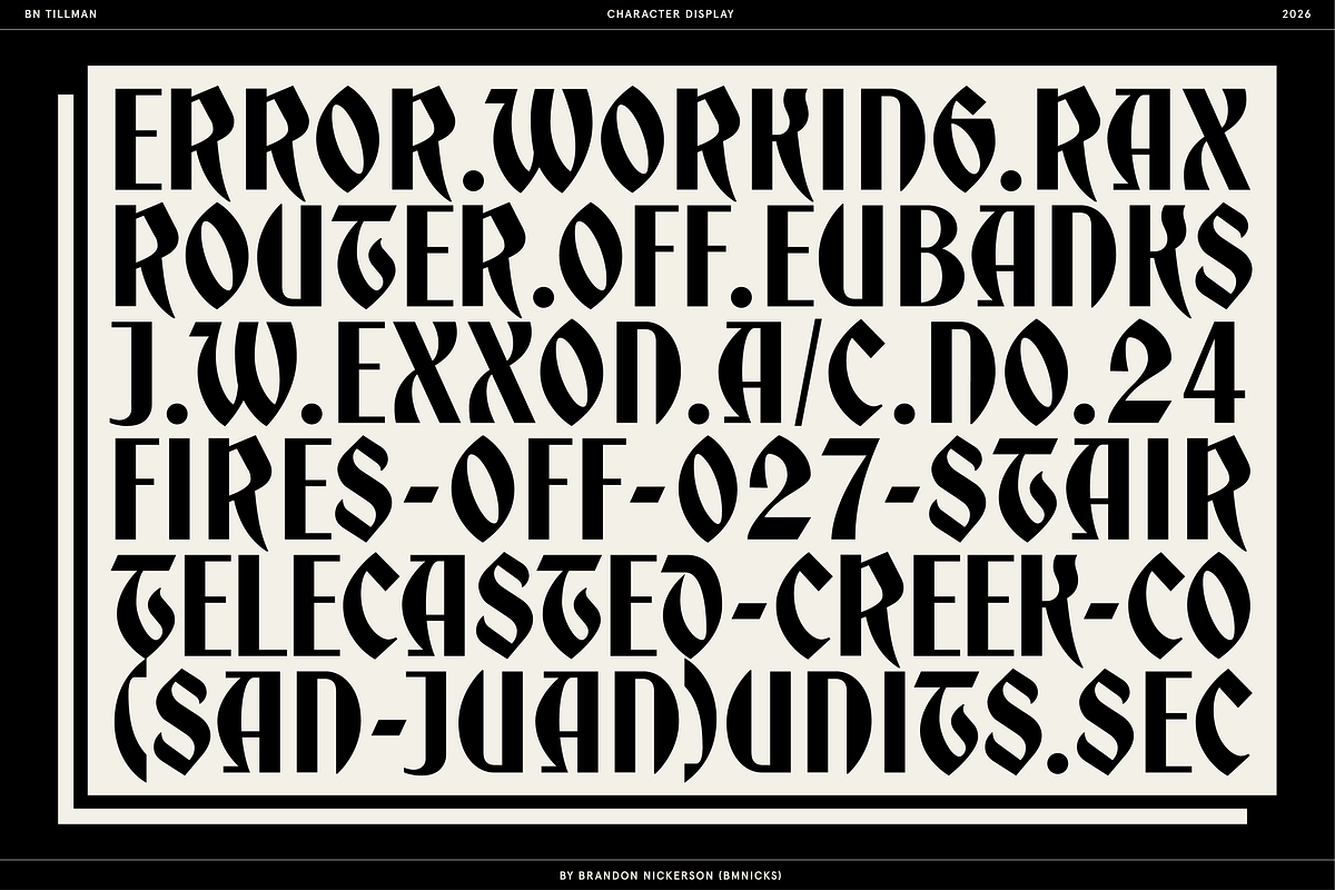 BN Tillman Gothic Display Typeface, a Serif Font by Bnick (Photo 3 of 12)