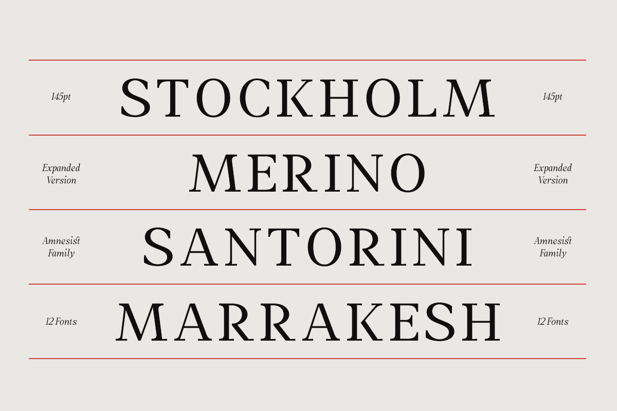 Amnesist | 12 Fonts, a Serif Font by Skinny Type (Photo 7 of 12)
