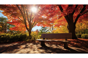 nature fall bench ai generated, a Nature Photo by pikepicture