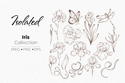 Iris Botanical Line Floral Vector, a Decorative Illustration by katmonne (Thumbnail 3 of 14)