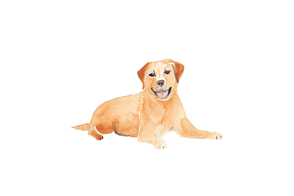 Watercolor Labrador Illustration, an Illustration by Foxery Digital (Photo 2 of 2)