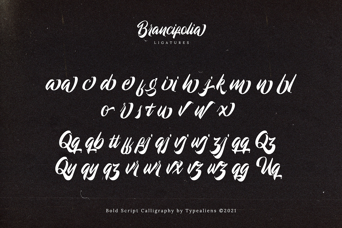Brancifolia, a Script Font by ilhamtaro (Photo 10 of 11)