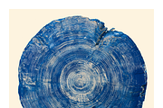 Natt Collection · Organic Tree Rings, a Texture Illustration by milatovar (Thumbnail 7 of 19)