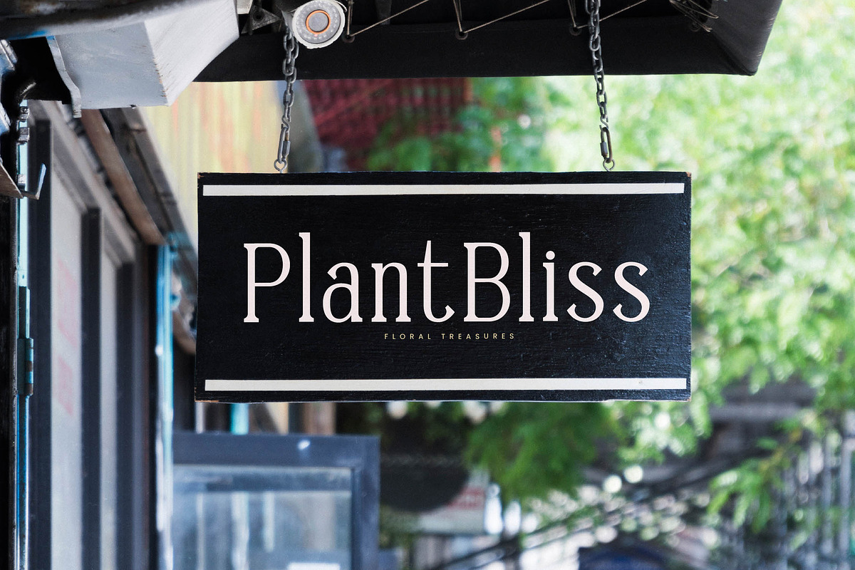 Timeless Silvera Alternate Serif, a Serif Font by Letterena Studios (Photo 7 of 15)