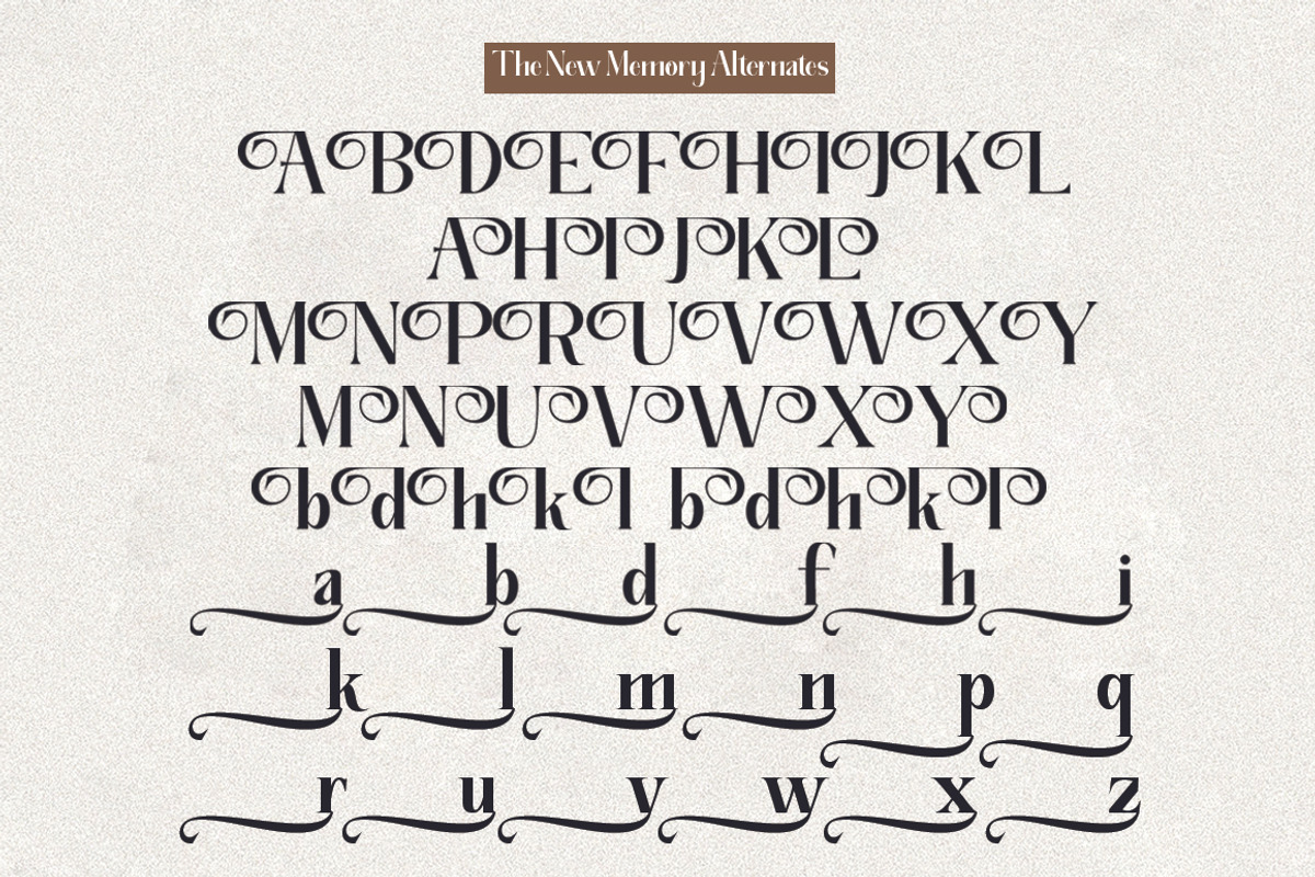 The New Memory, a Serif Font by TM Type (Photo 14 of 17)