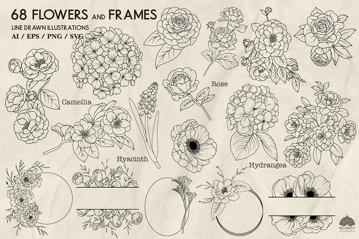 Flower Garden Line Art + Procreate, a Decorative Illustration by Skliarova (Photo 2 of 5)