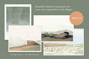 90 Vintage Birds of America, an Illustration by The Object Atlas (Thumbnail 9 of 9)