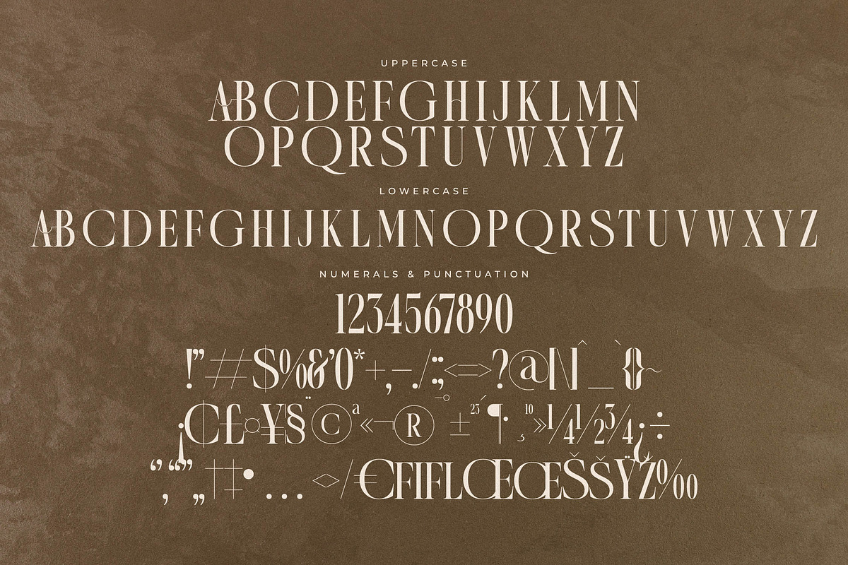 Quartens New Modern Display, a Serif Font by Storytype Studio (Photo 13 of 15)