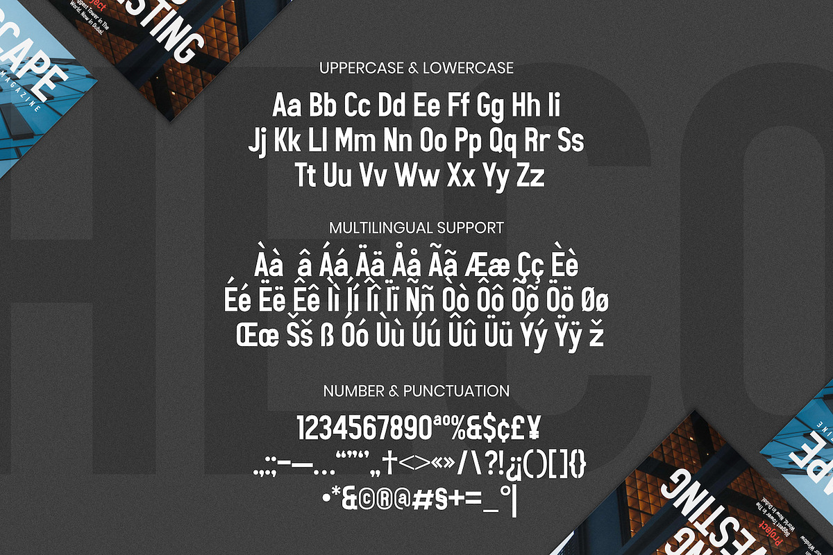 Heco - Condensed Sans Serif Fonts, a Sans Serif Font by Imoodev (Photo 5 of 5)