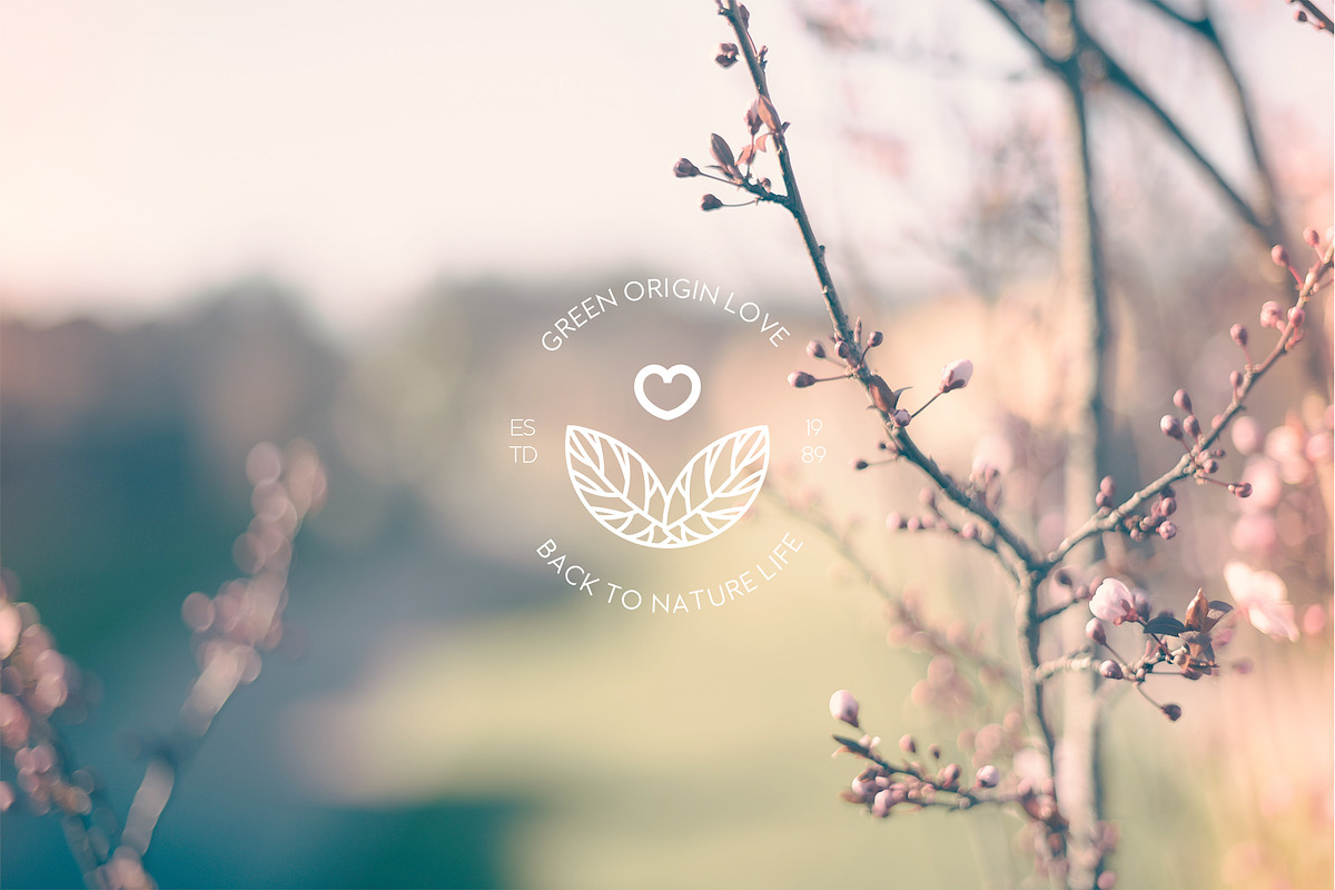 ORGANIC AESTHETIC LOGO COLLECTION, a Branding & Logo Template by Luna Dreams (Photo 5 of 10)