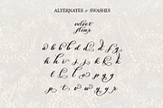 Velvet Fleur - Elegant Script Font, a Script Font by Mneme (Thumbnail 10 of 11)