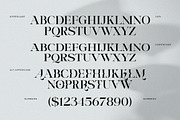 Riclose Font Duo, a Serif Font by Dora Typefoundry (Thumbnail 10 of 29)