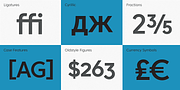 Core Sans C, a Sans Serif Font by S-Core (Thumbnail 5 of 8)