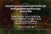 Ringotube Font, a Script Font by cove703 (Thumbnail 10 of 10)