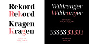 Spitzkant, a Serif Font by Julien Fincker (Thumbnail 5 of 10)
