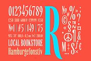 Yarar, a Serif Font by True Story Letterworks (Thumbnail 4 of 11)